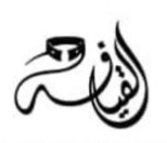 علامة تجارية 3